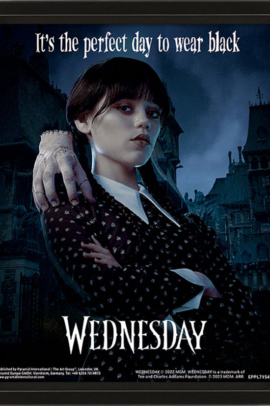 Wednesday Framed 3D Picture 1