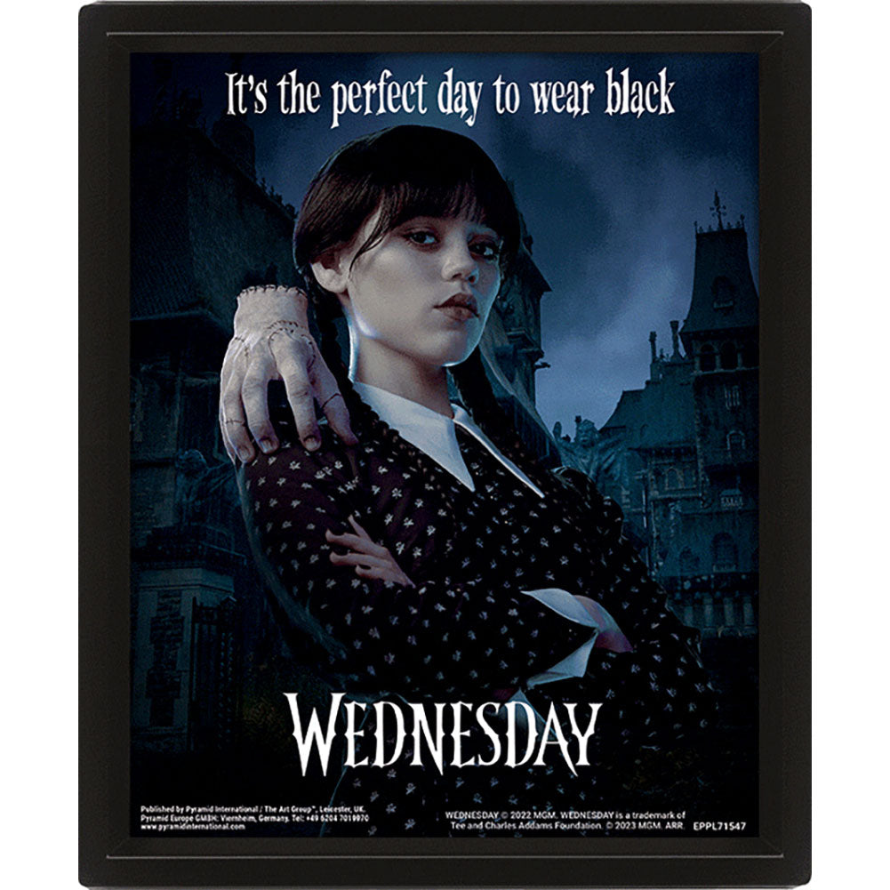 Wednesday Framed 3D Picture 1