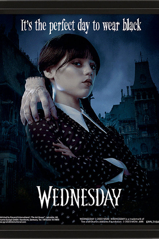 Wednesday Framed 3D Picture 2