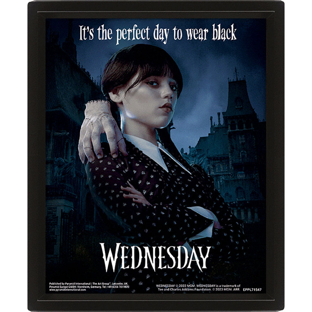 Wednesday Framed 3D Picture 2