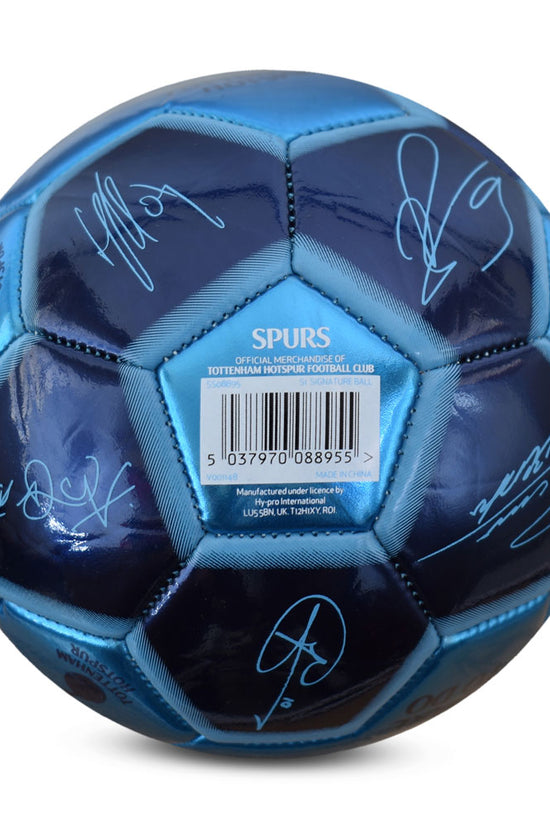 Tottenham Hotspur FC Sig 26 Skill Ball
