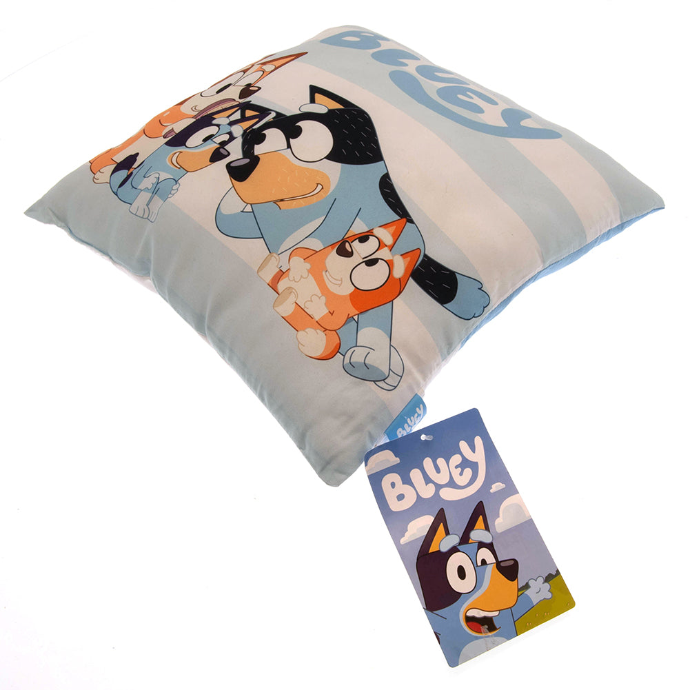 Bluey Cushion 3