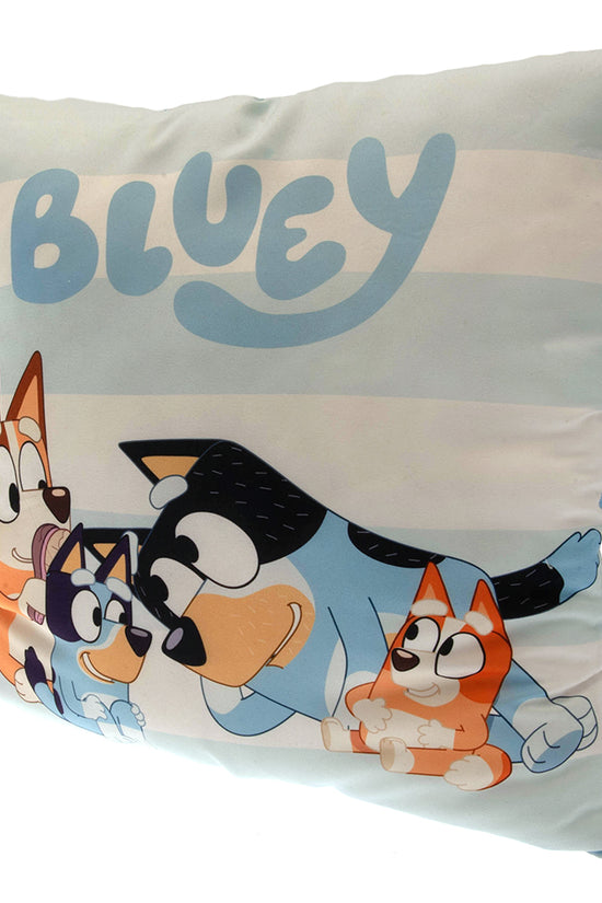 Bluey Cushion