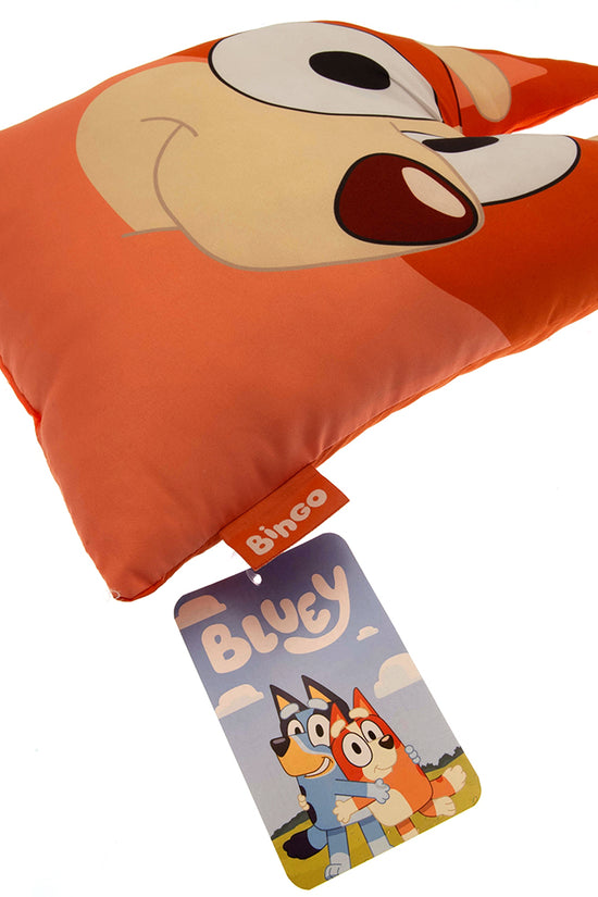 Bluey Shaped Cushion Bingo