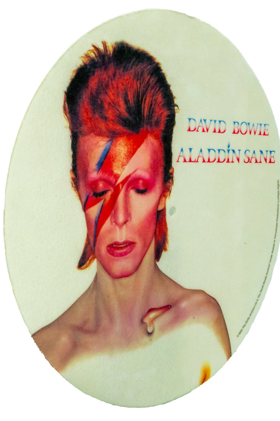 David Bowie Record Slipmat