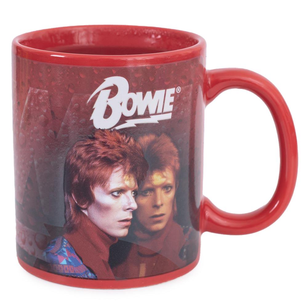 David Bowie Heat Changing Mug 6