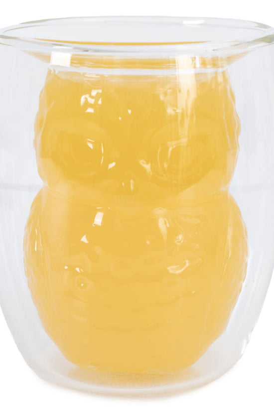 Harry Potter 3D Hedwig Feature Glass 2