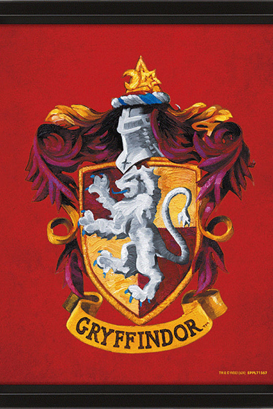 Harry Potter Gryffindor Framed 3D Picture 1