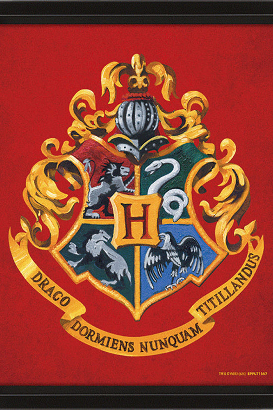 Harry Potter Gryffindor Framed 3D Picture 2