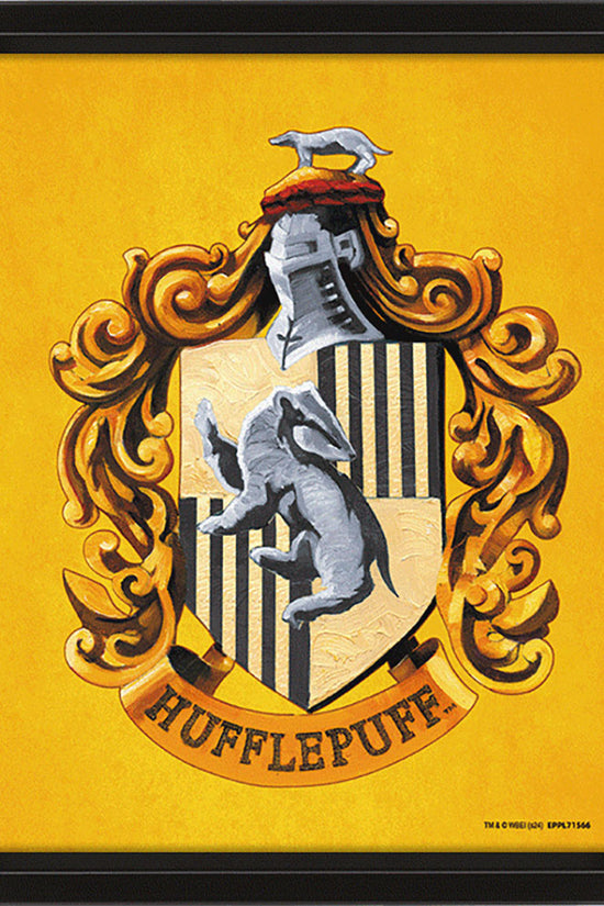 Harry Potter Hufflepuff Framed 3D Picture 1