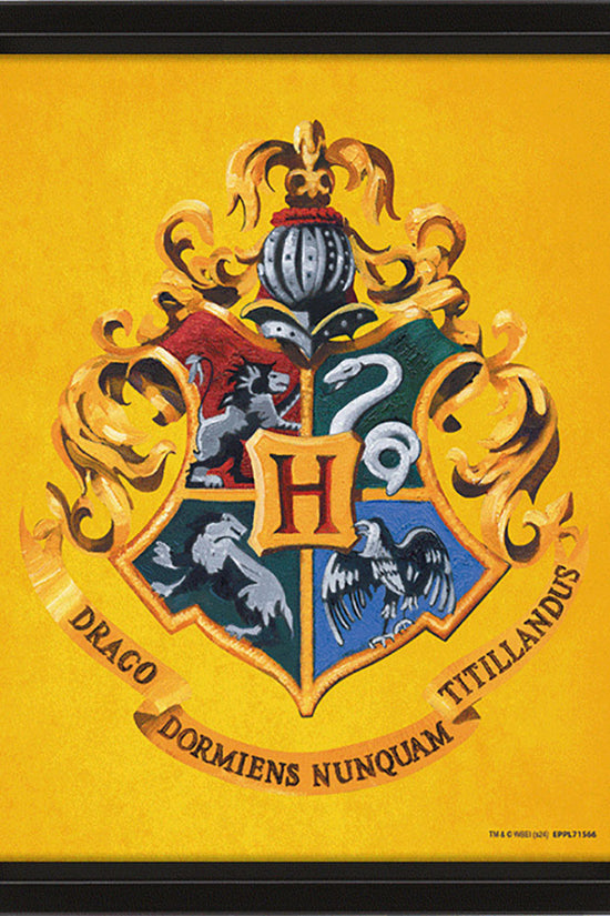 Harry Potter Hufflepuff Framed 3D Picture 2