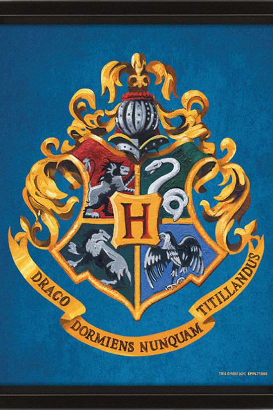 Harry Potter Ravenclaw Framed 3D Picture 2