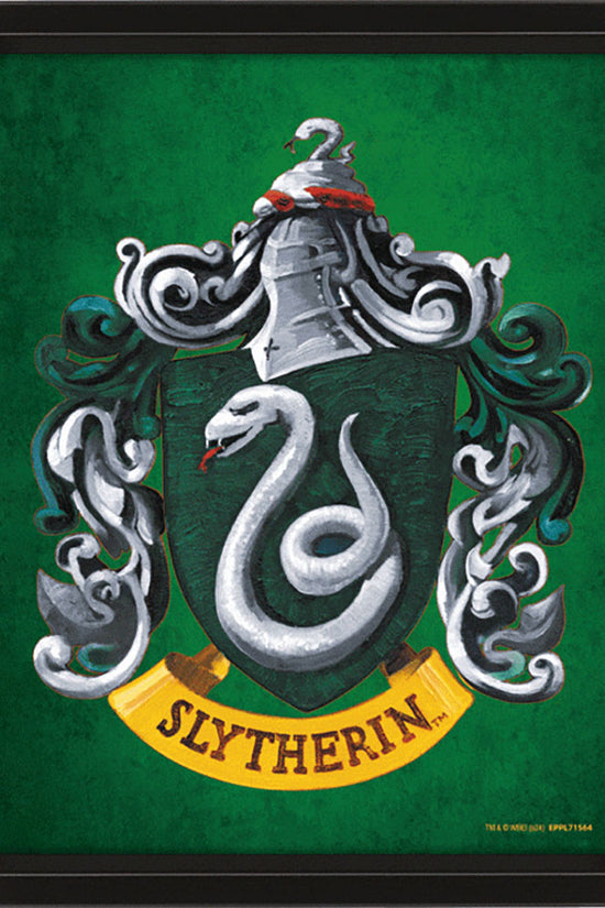 Harry Potter Slytherin Framed 3D Picture 1