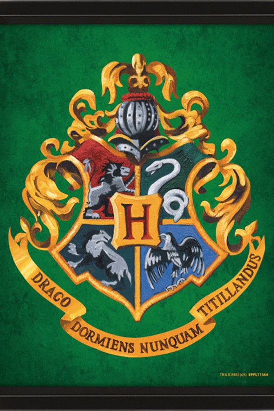 Harry Potter Slytherin Framed 3D Picture 2