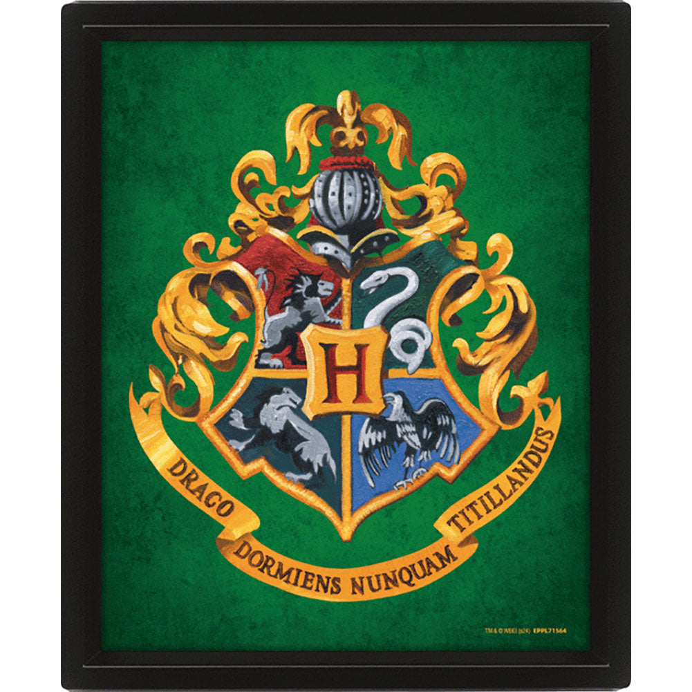 Harry Potter Slytherin Framed 3D Picture 2