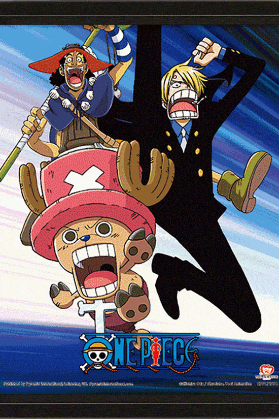 One Piece Framed 3D Picture 2
