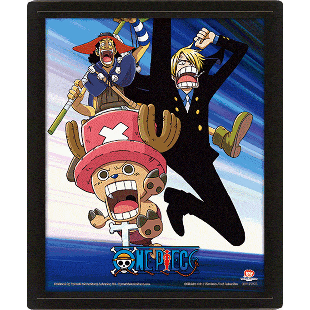 One Piece Framed 3D Picture 2