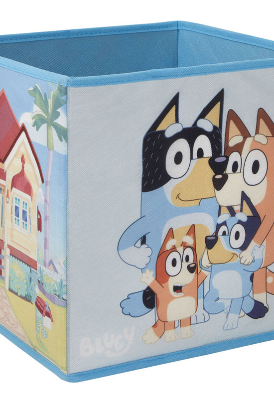 Bluey Twin Pack Storage Cube 1