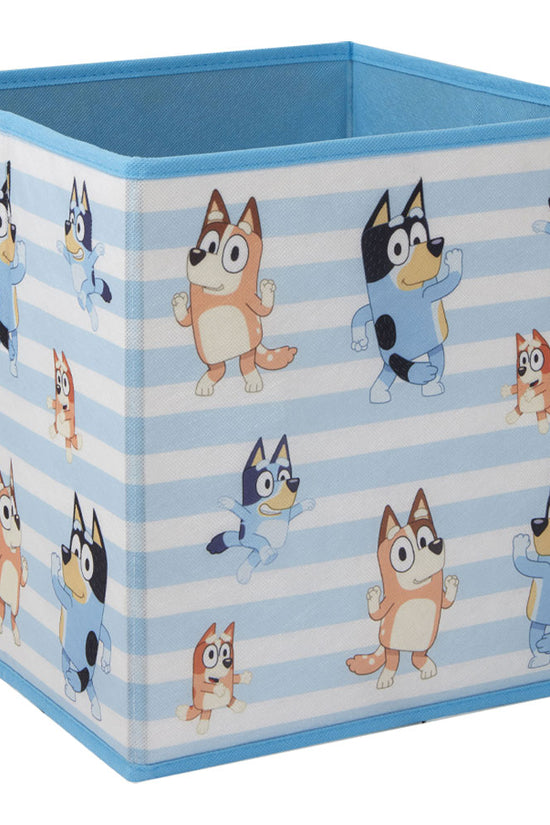Bluey Twin Pack Storage Cube 2