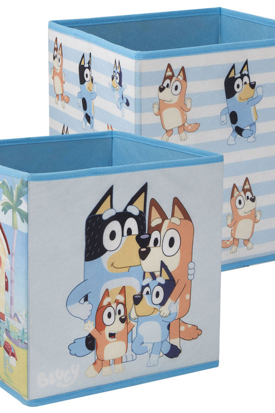 Bluey Twin Pack Storage Cube
