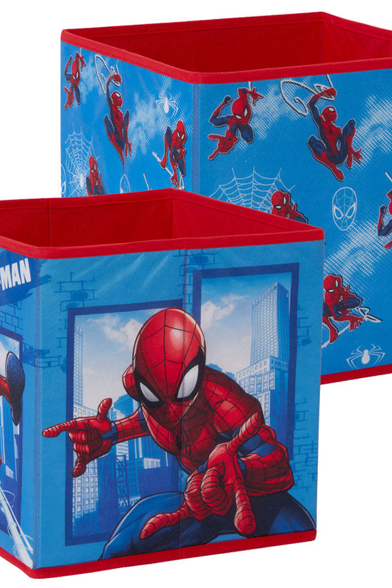Spider Man Twin Pack Storage Cube