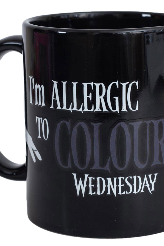 Wednesday Heat Changing Mug 5