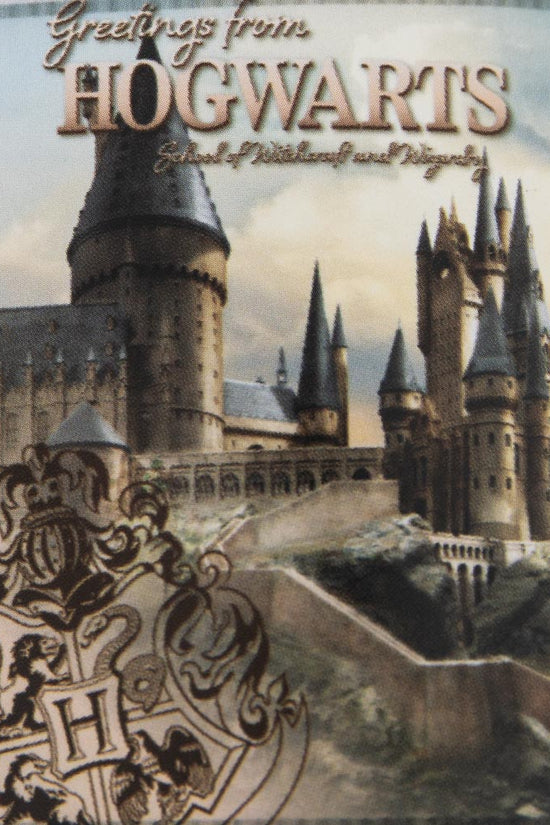 Harry Potter Hogwarts Castle Premium Fleece Blanket
