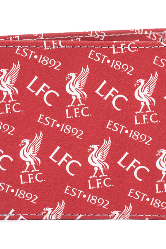 Liverpool FC Coloured Icon Wallet