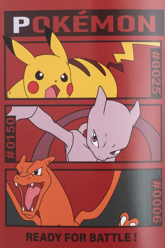 Pokemon Premium Fleece Blanket 3