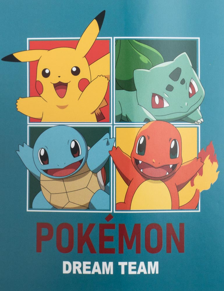 Pokemon Dream Team Fleece Blanket 3