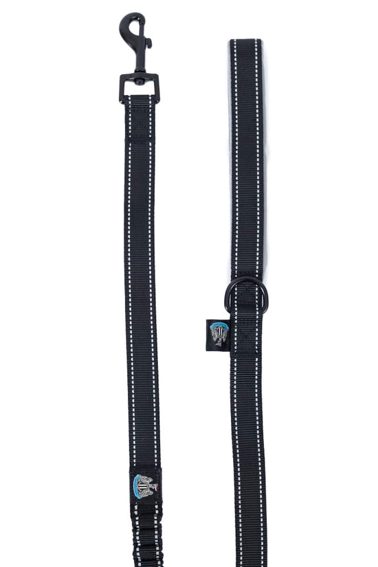 Newcastle United FC Reflective Dog Lead