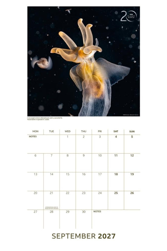 BBC Earth Square Calendar 2027