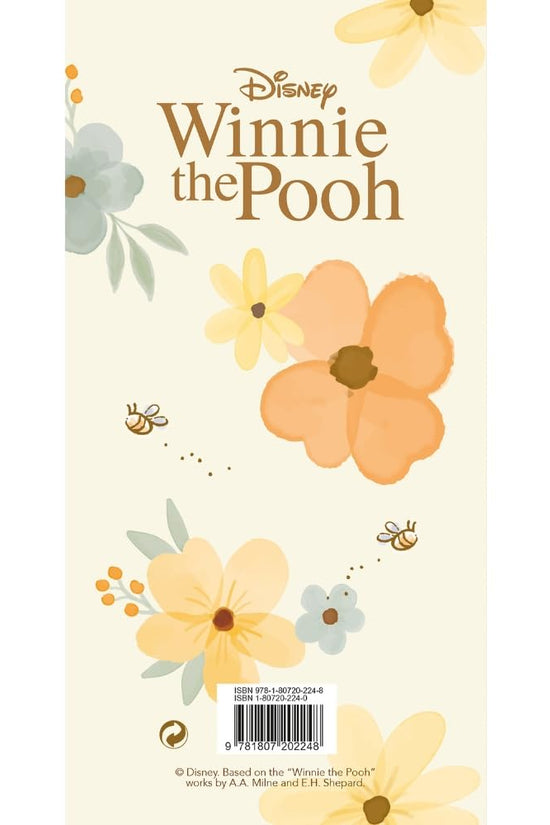 Winnie The Pooh Slim Diary 2027