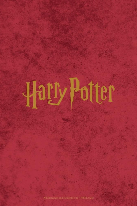 Harry Potter A5 Diary 2027