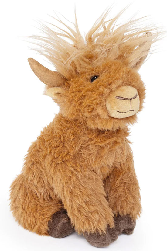 Rangers Highland Cow