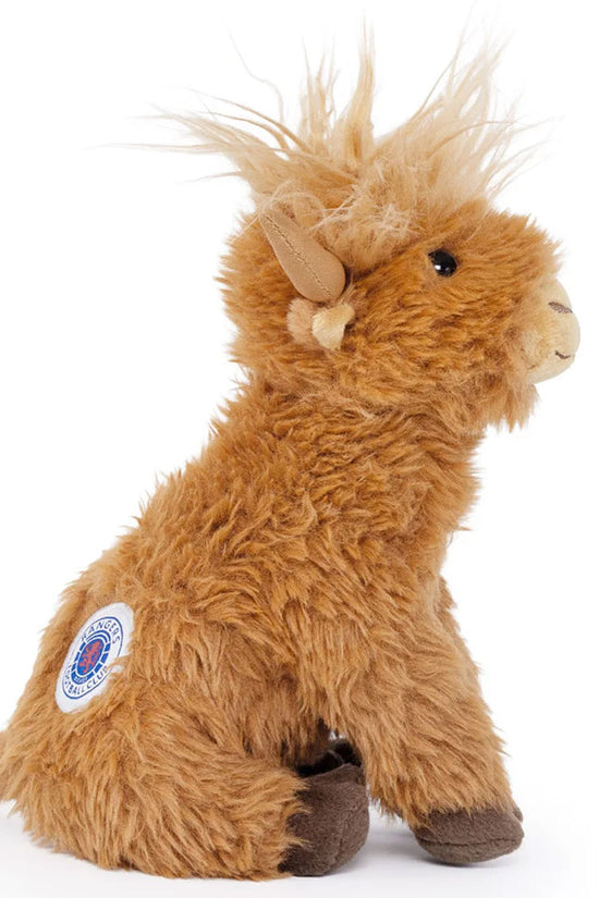 Rangers Highland Cow