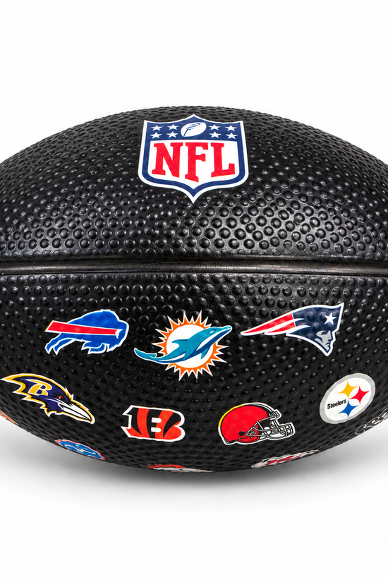NFL Team Logo 6 inch American Football