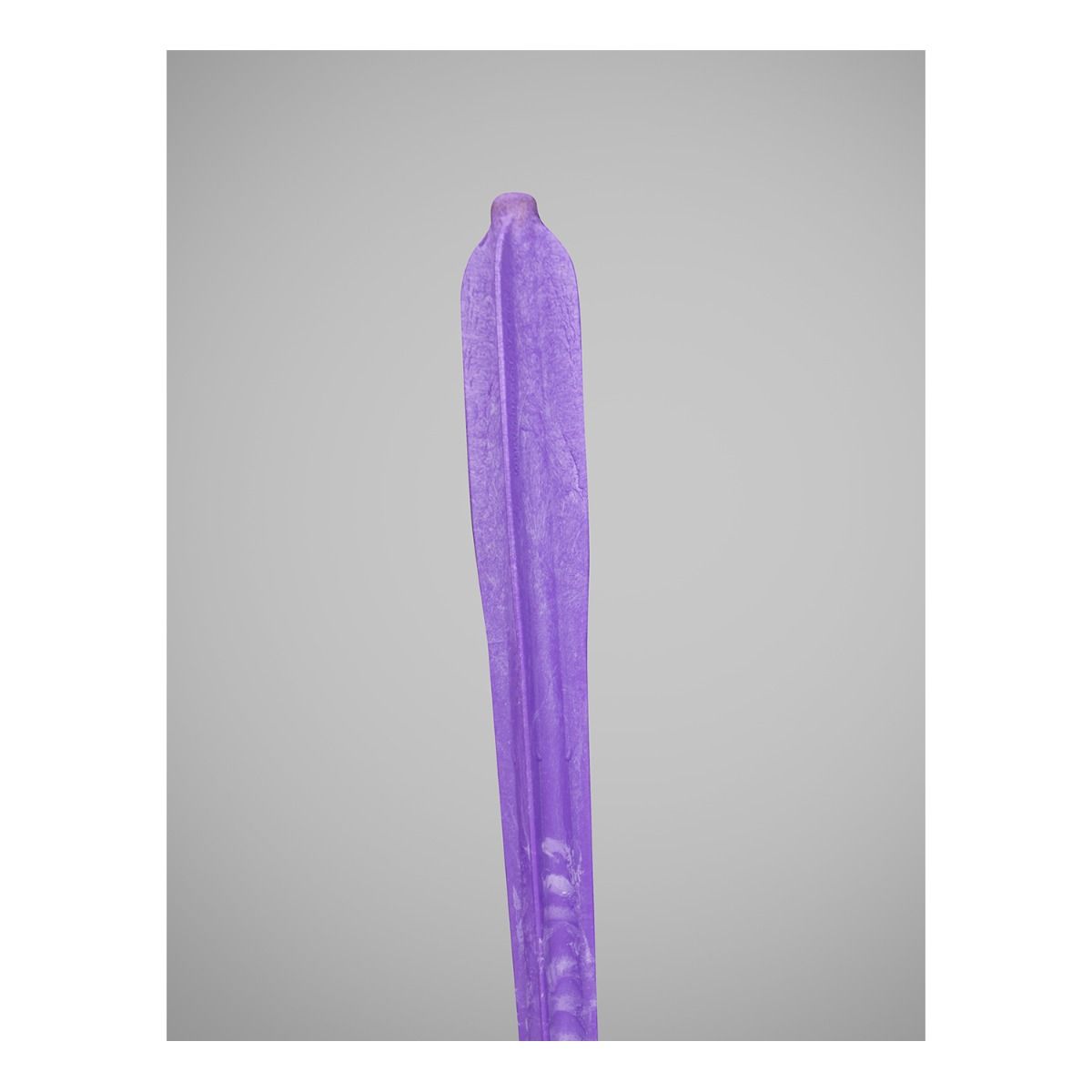 Gill Petranoff Javelins